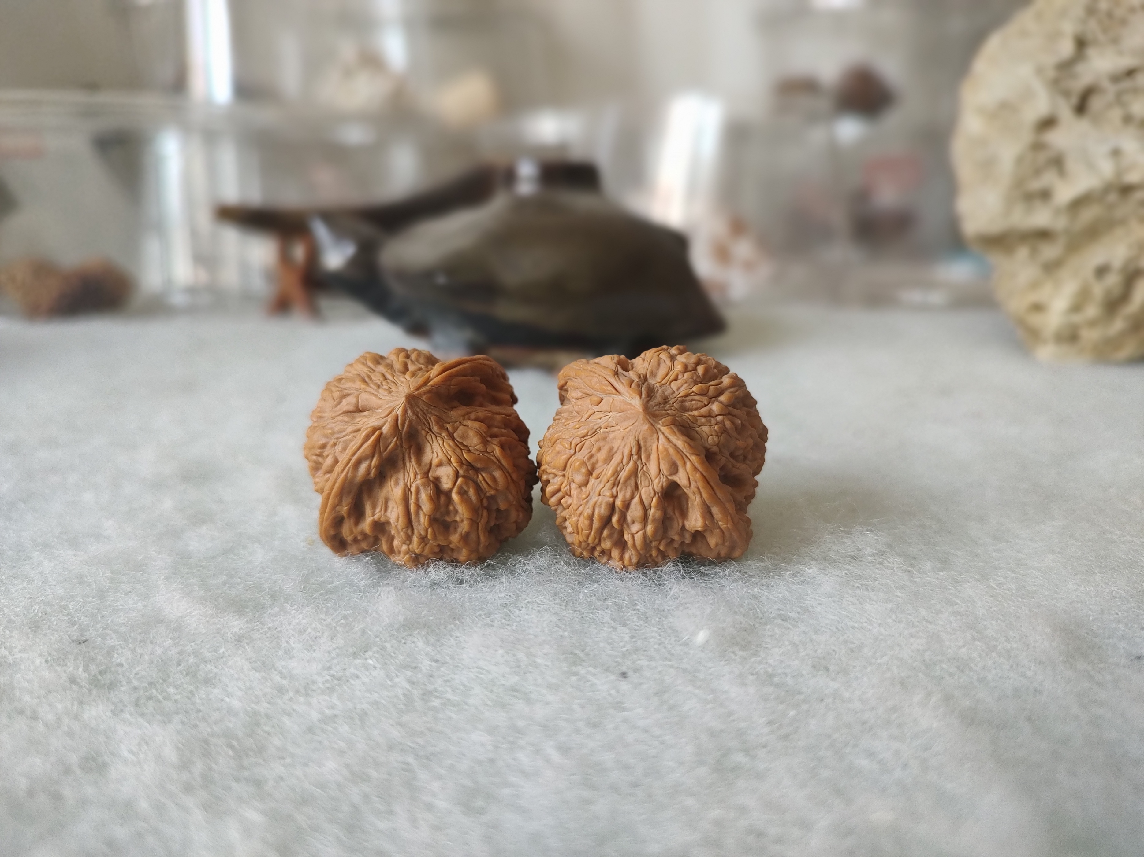 风氏文玩收藏馆：听核商说“和尚头”是打了药“满天星”