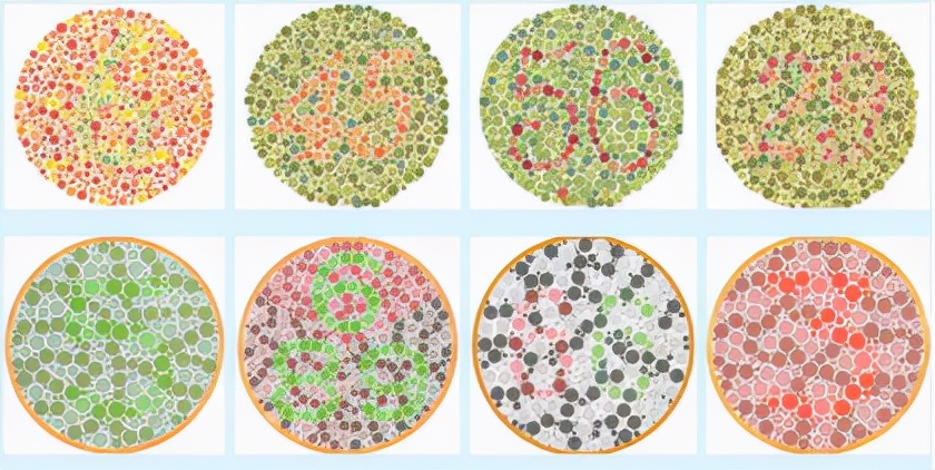 色盲和色弱看到的世界,蓝绿色盲看到的世界