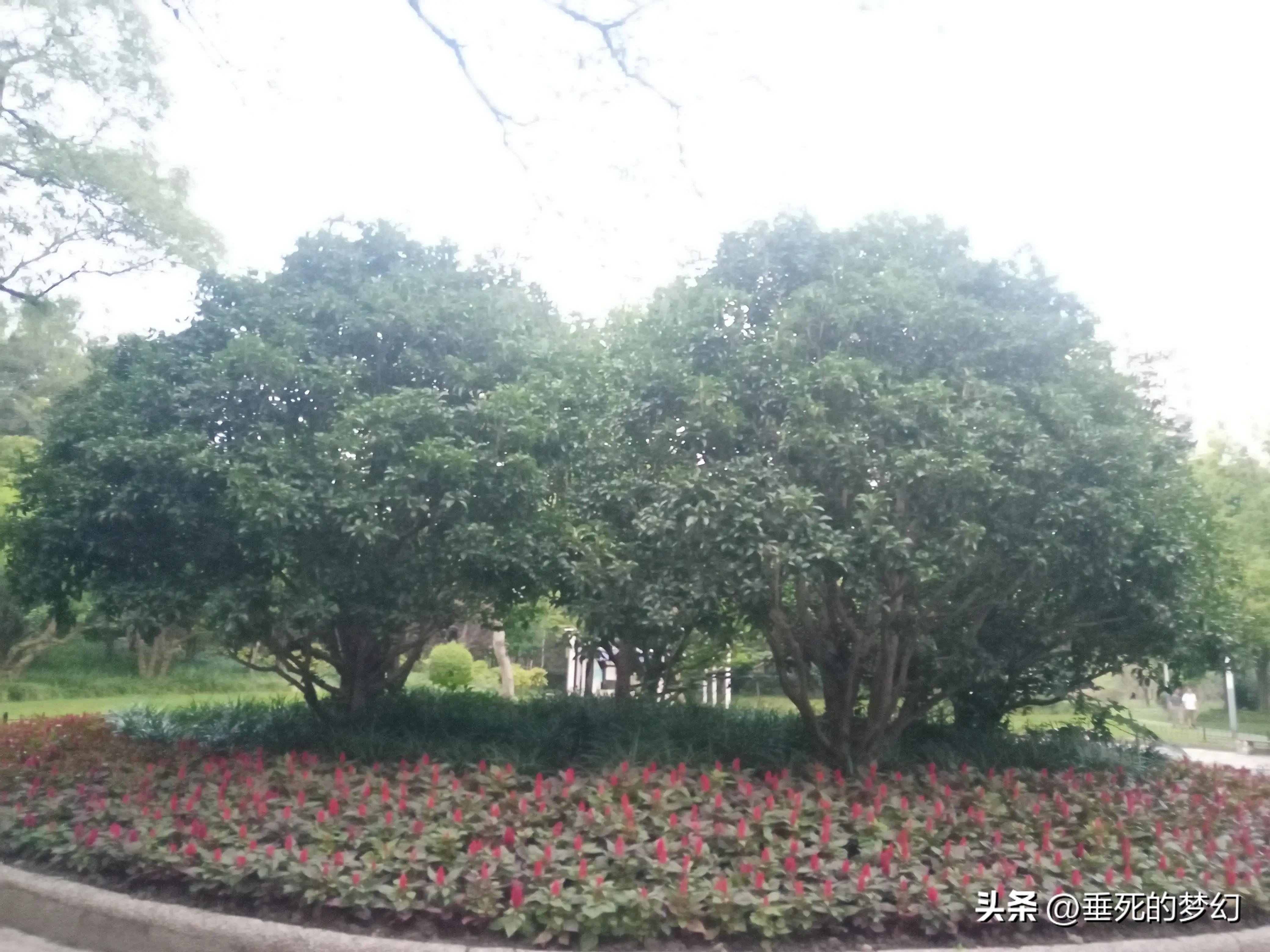 美丽的普陀,美丽普陀同心家园