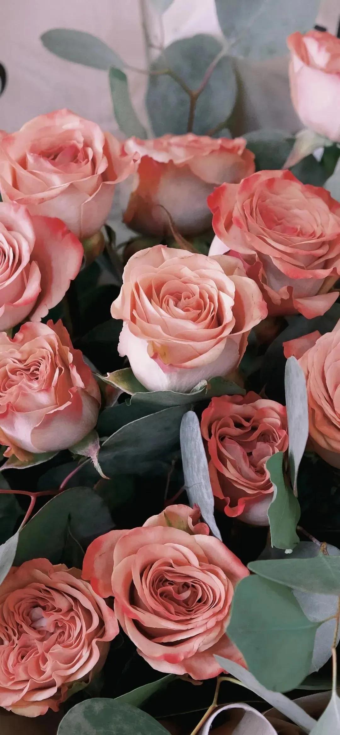 高清壁纸全面屏手机,围棋壁纸高清全面屏