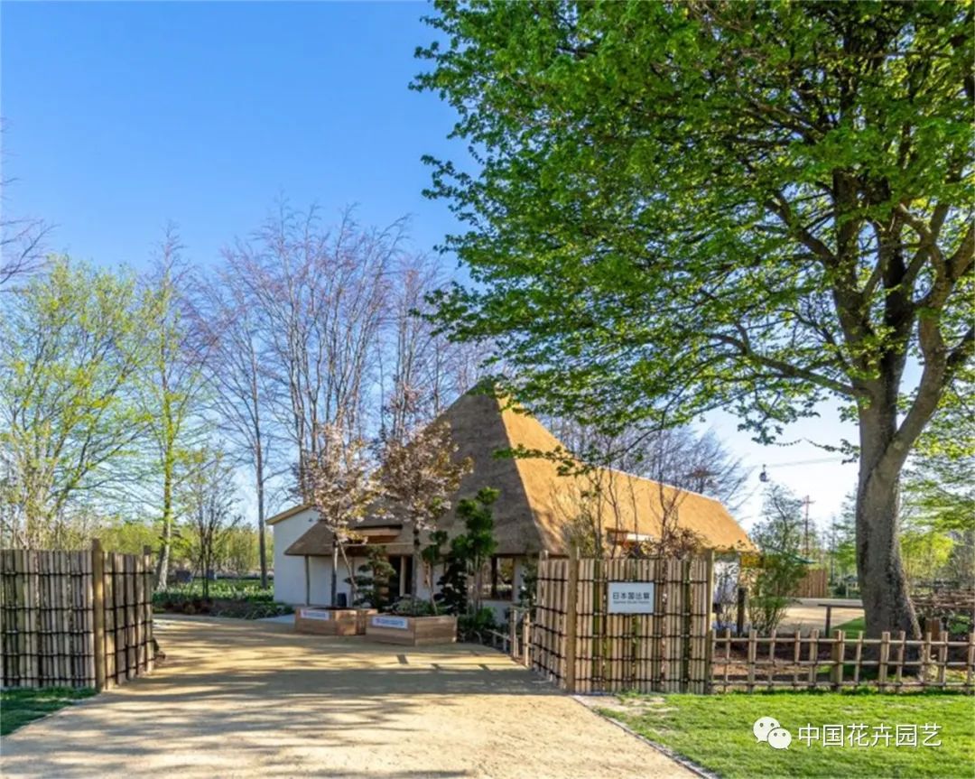 荷兰世园会“日本日”活动举行科学家发明“人发种植基质”|每周国际花讯