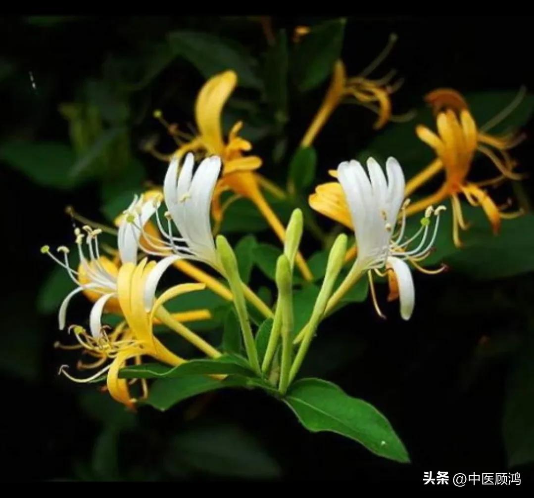 头痛发热嗓子痛属于什么症状,头痛嗓子疼发热怎么回事