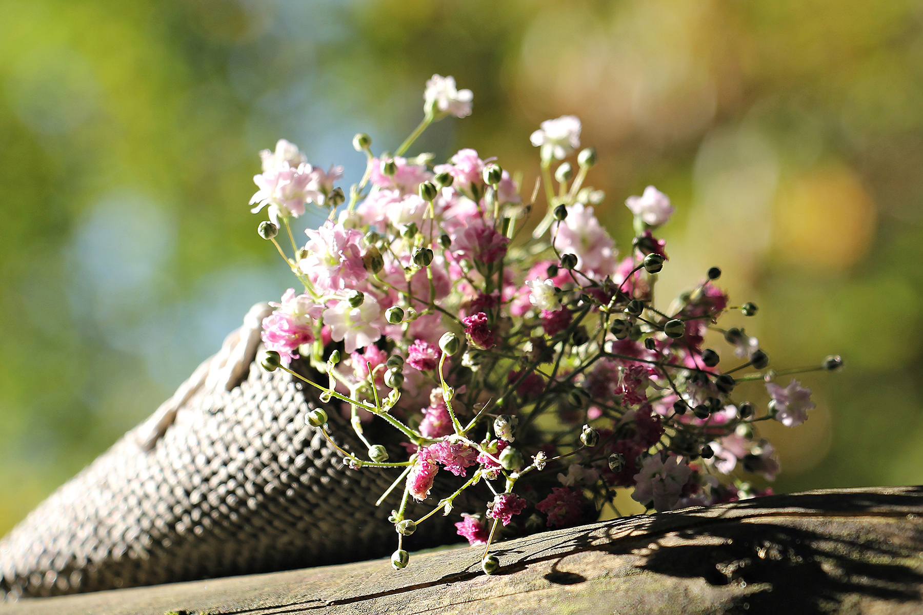 2022年摩羯座12月运势完整版,摩羯座十二月身体运势如何