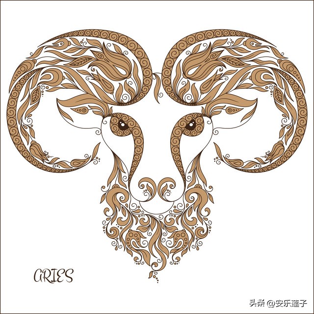 十二星座女生眼中的摩羯座男,十二星座男生眼中的摩羯座女生