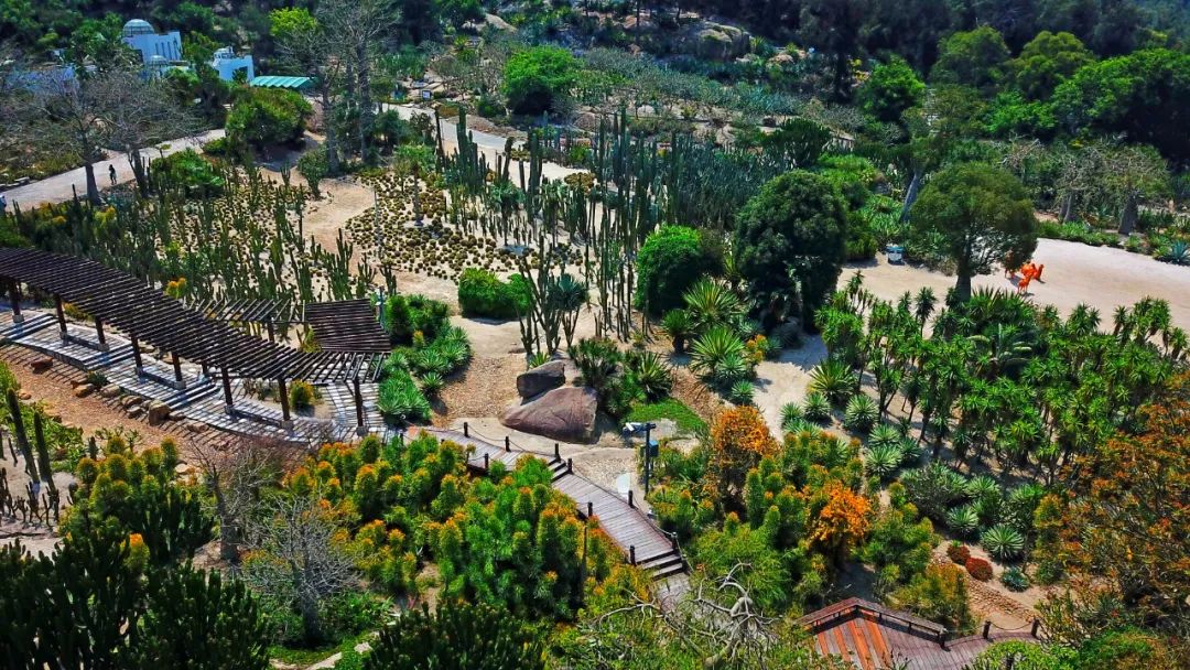 打造一批旅游线路,全国20条旅游线路