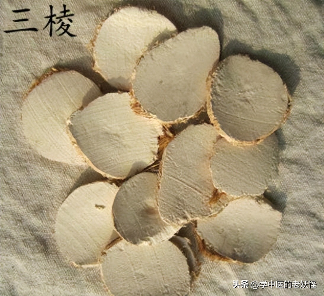 三棱莪术破血逐瘀,三棱活血化瘀