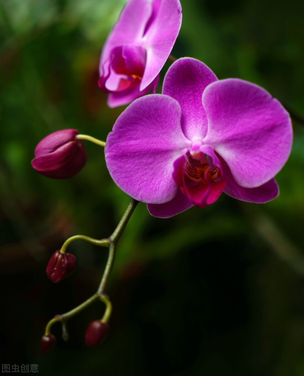 大智若愚是人生的境界是什么意思,大智若愚是境界难得糊涂乃人生