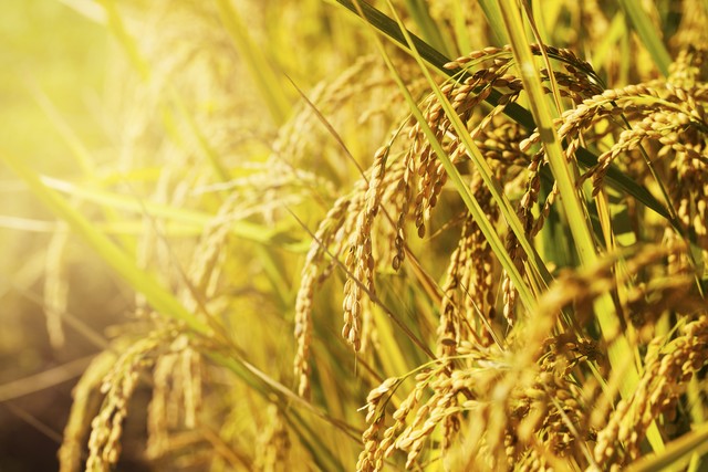 中国在国际上一个朋友没有？被孤立了？这种想法太天真！