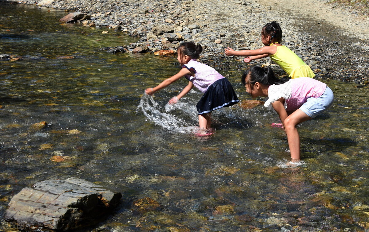 常见的这种虫子竟然一斤卖180元,深红色硬壳的珍稀虫子