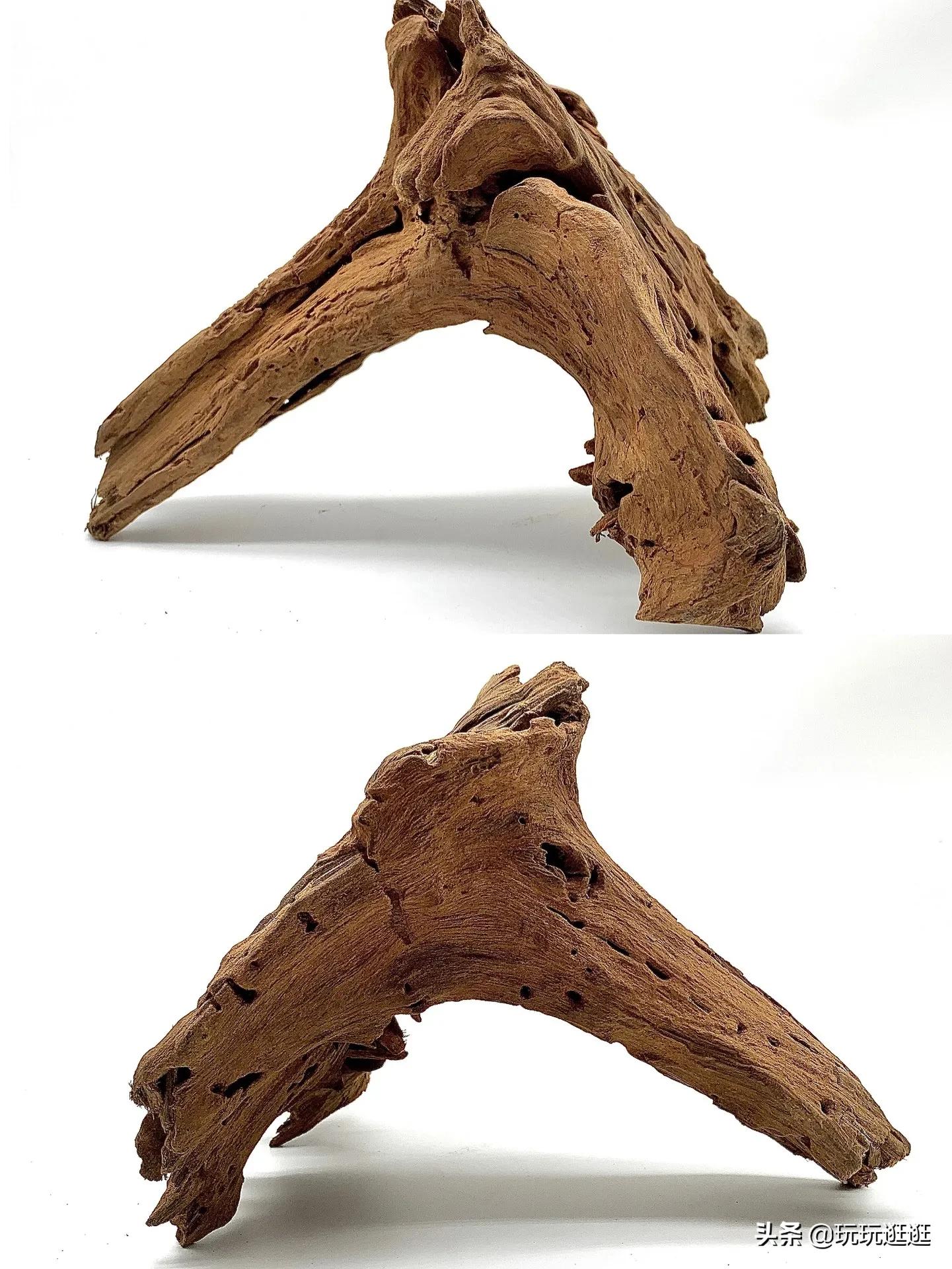 水草缸那些沉木黄水?木头菌膜如何处理?鱼缸造景十一:木头篇