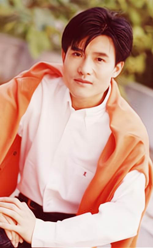 渴望主题歌和插曲有多少首,1984年渴望主题曲是谁唱的