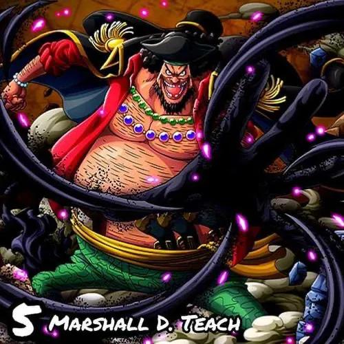 海贼王d之一族含义是什么,海贼王d之一族的含义