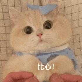 春节假期出行指引！离深、返深必看！