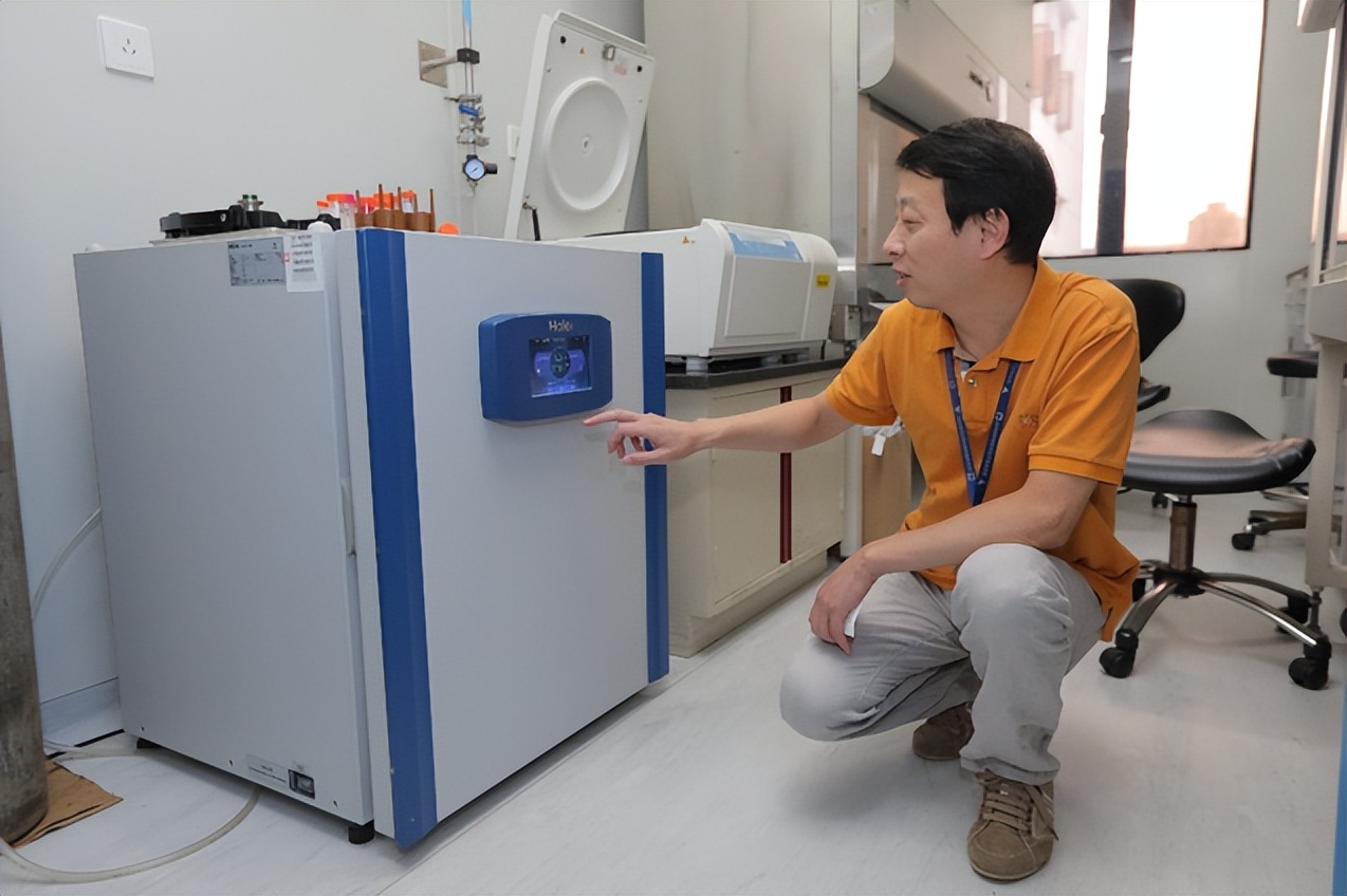 养细胞的全部流程,养细胞的最佳方法