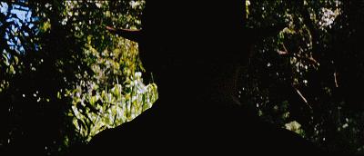 9万人觉得牛逼的电影，第5部来了！