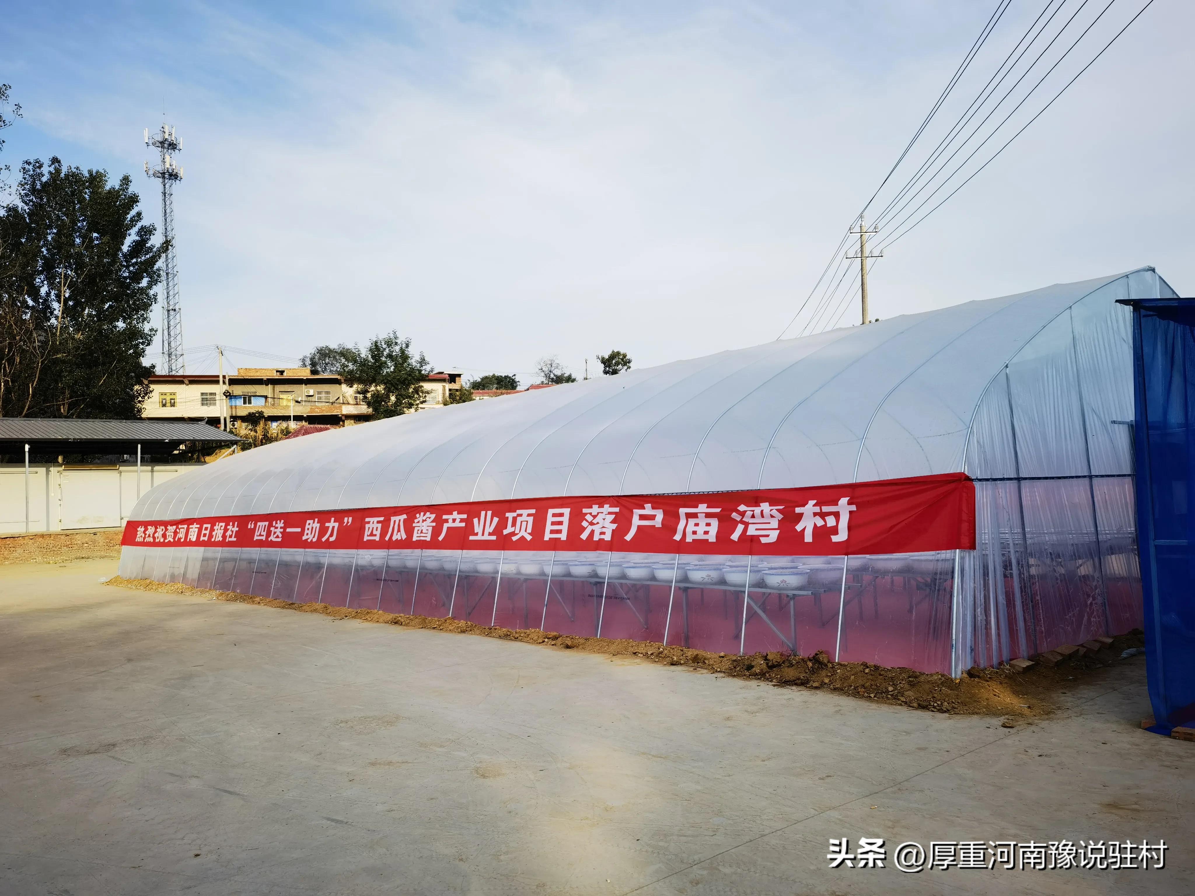 派驻村第一书记完整版,驻村第一书记15集