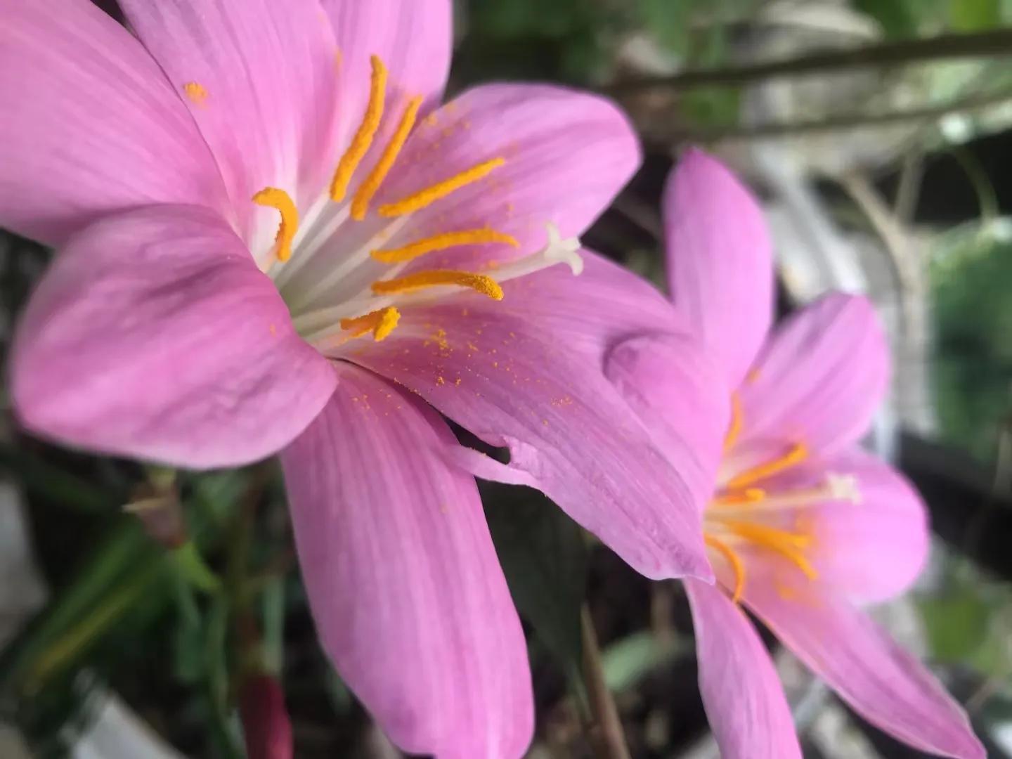 人活着就是要一种好心态才会开心,其实人活的正确方式开心就好