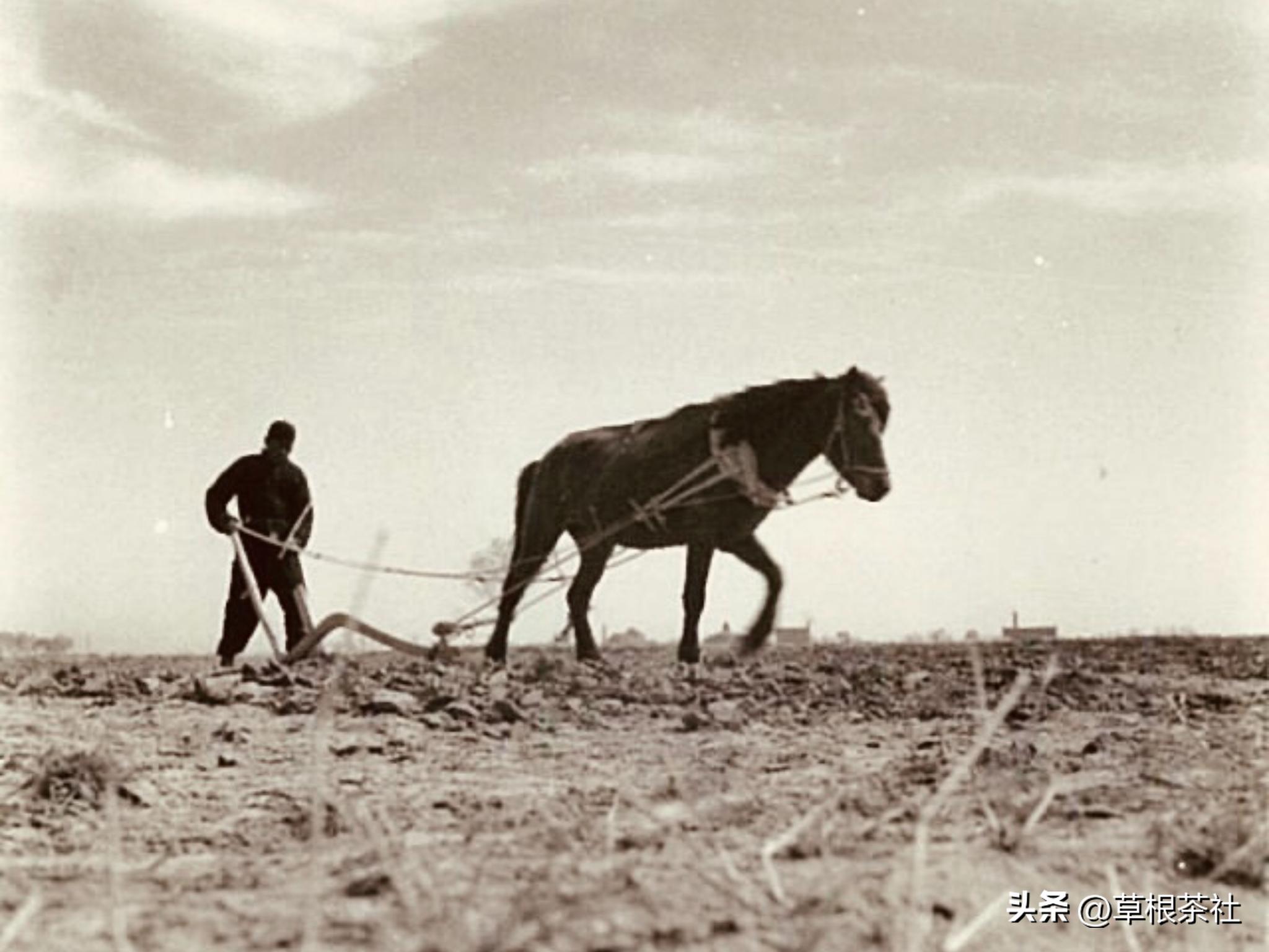 知青往事三代人身上重演,知青往事回顾