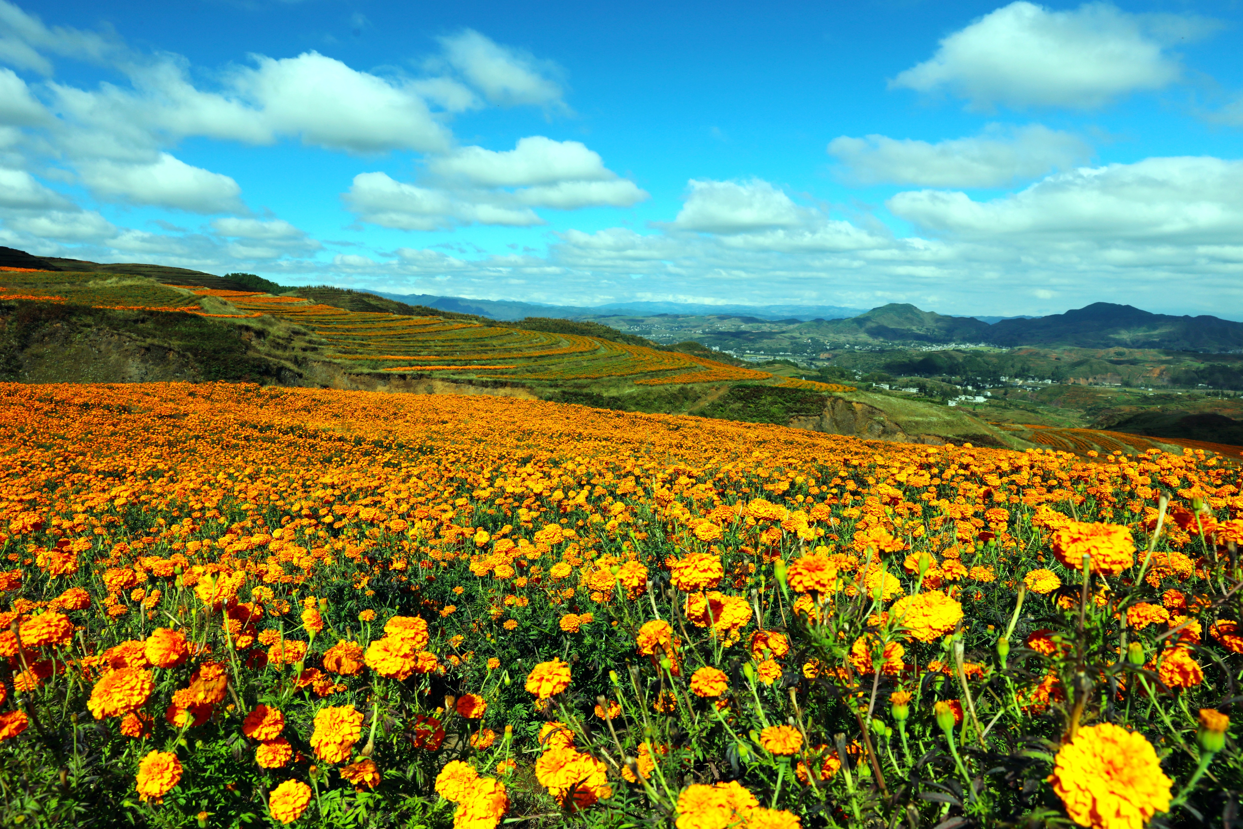 最美五四青年节的图片,五四青年节祝福动图表情