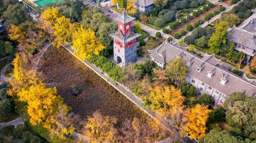来成都，观太阳神鸟，闻名于世！来川大，听鸾鸣凤语，奏未来之音