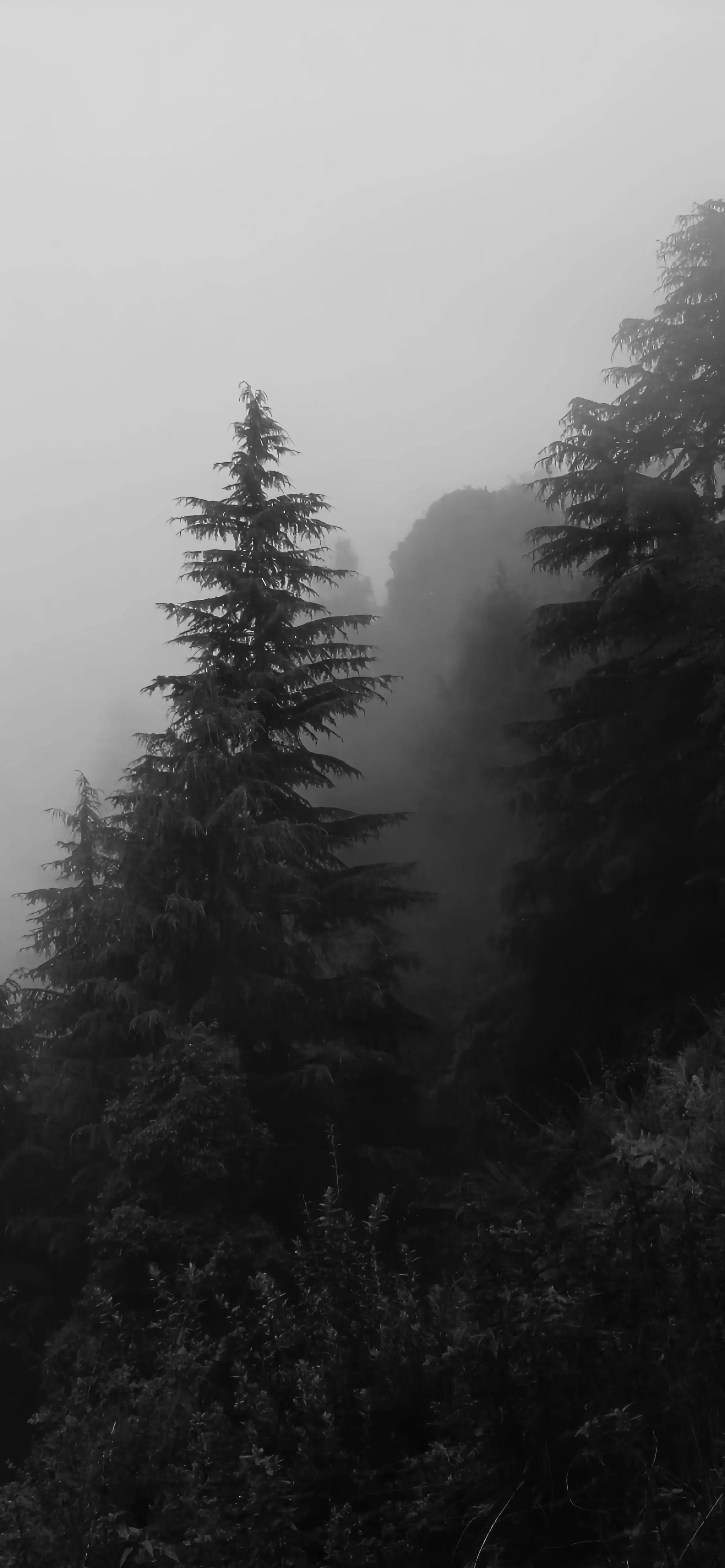 暗黑系壁纸高清横屏,暗黑系景深模式壁纸