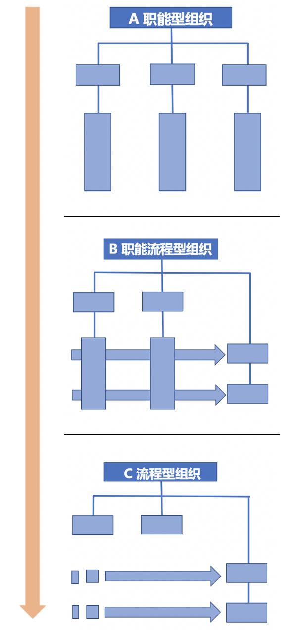 职能型组织到流程型组织,职能型组织的优缺点各是什么