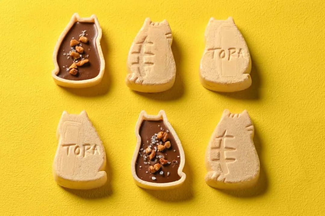 8.8国际猫咪日,日本猫的节日