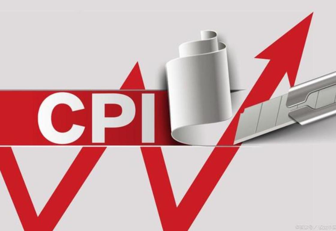 宏观经济数据cpippi,经济数据pmicpippi