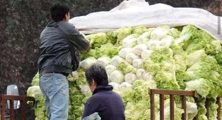 出家和尚是怎么回事,出家的和尚为什么还要学历