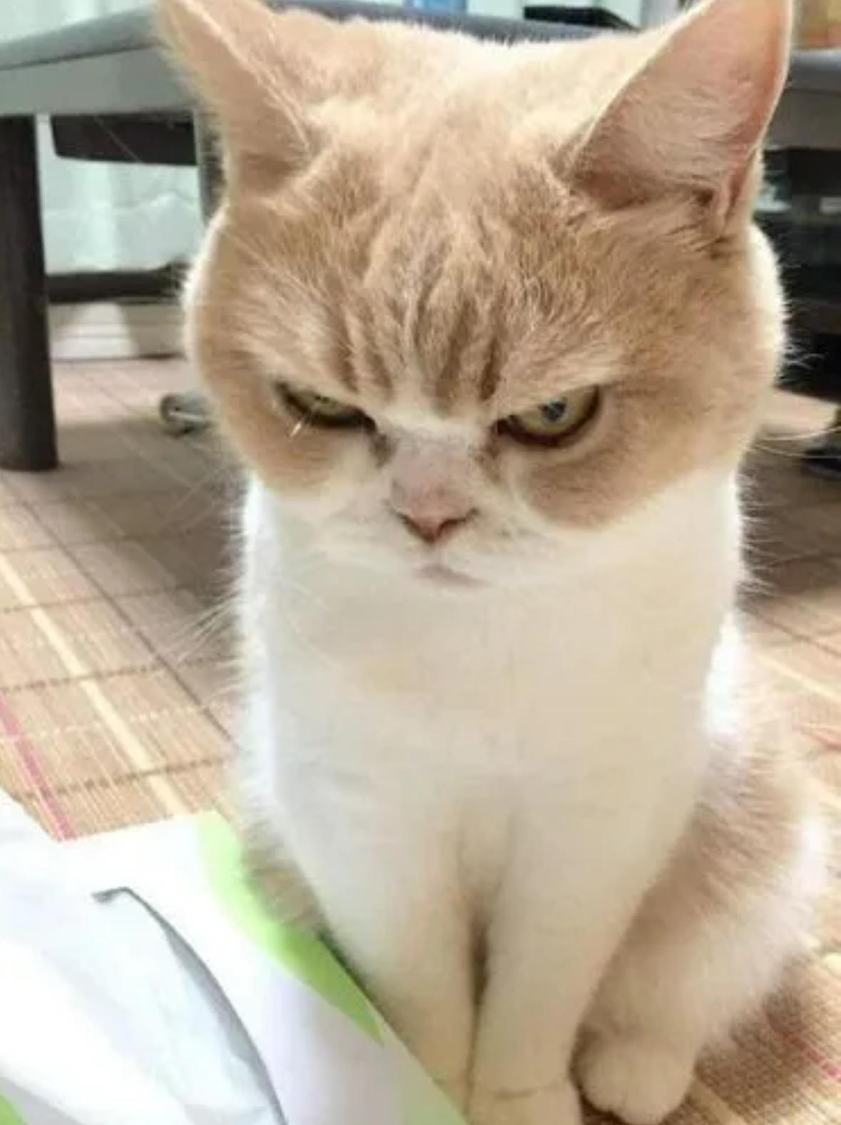 “冰马桶”小学生作业走红,老师看了哭笑不得,家长看了想打人