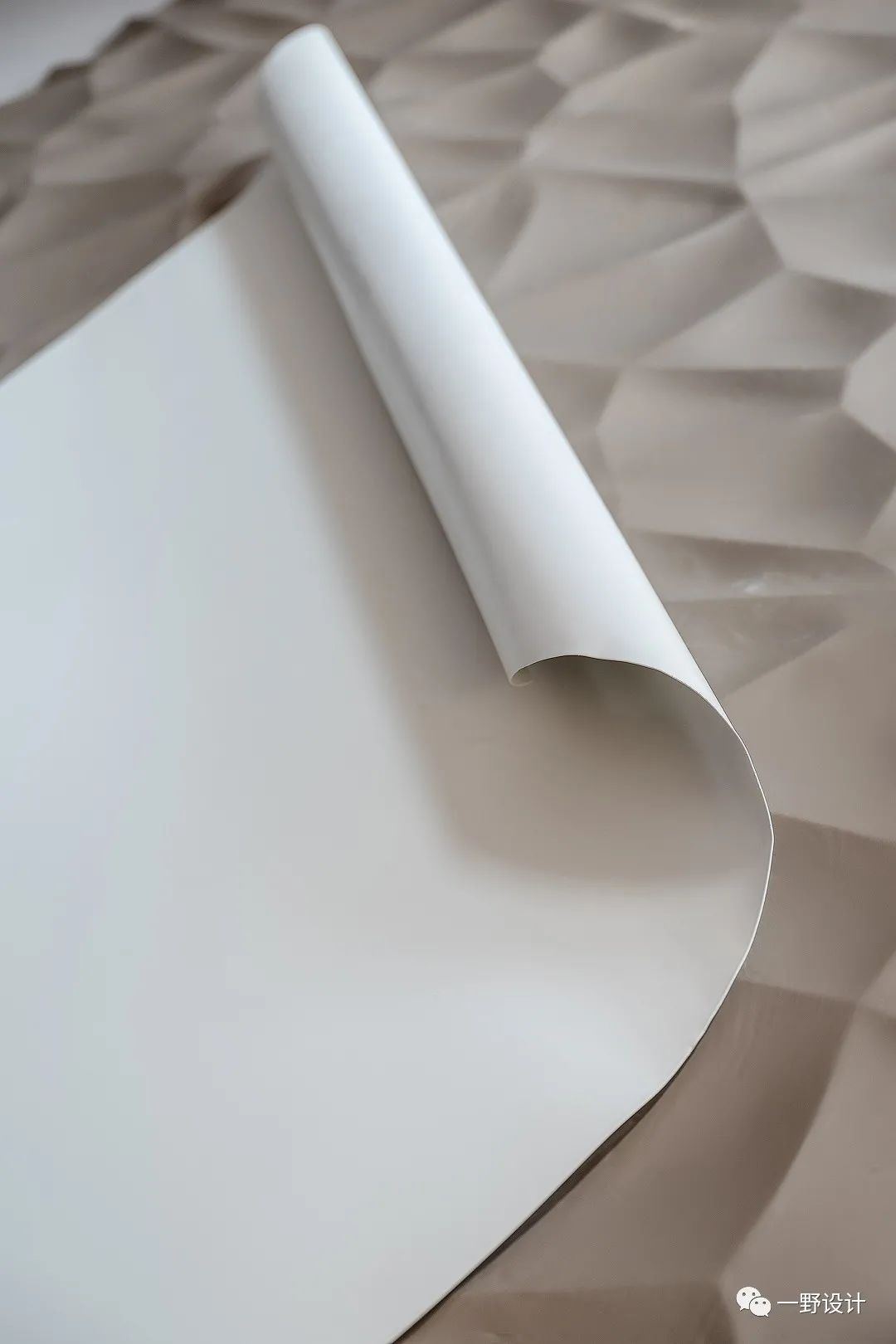 390的溪流缸养多少条斑马,390m