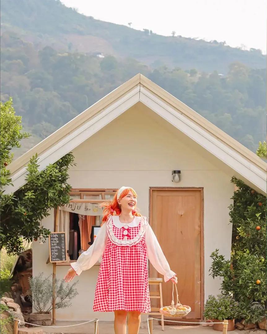 JINJUTheOrangeFarm是清迈的济州岛