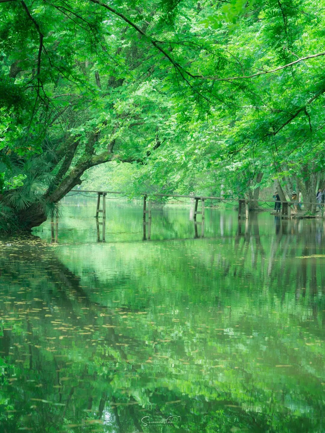 适合夏天避暑旅游的地方,适合夏天避暑的旅游地方