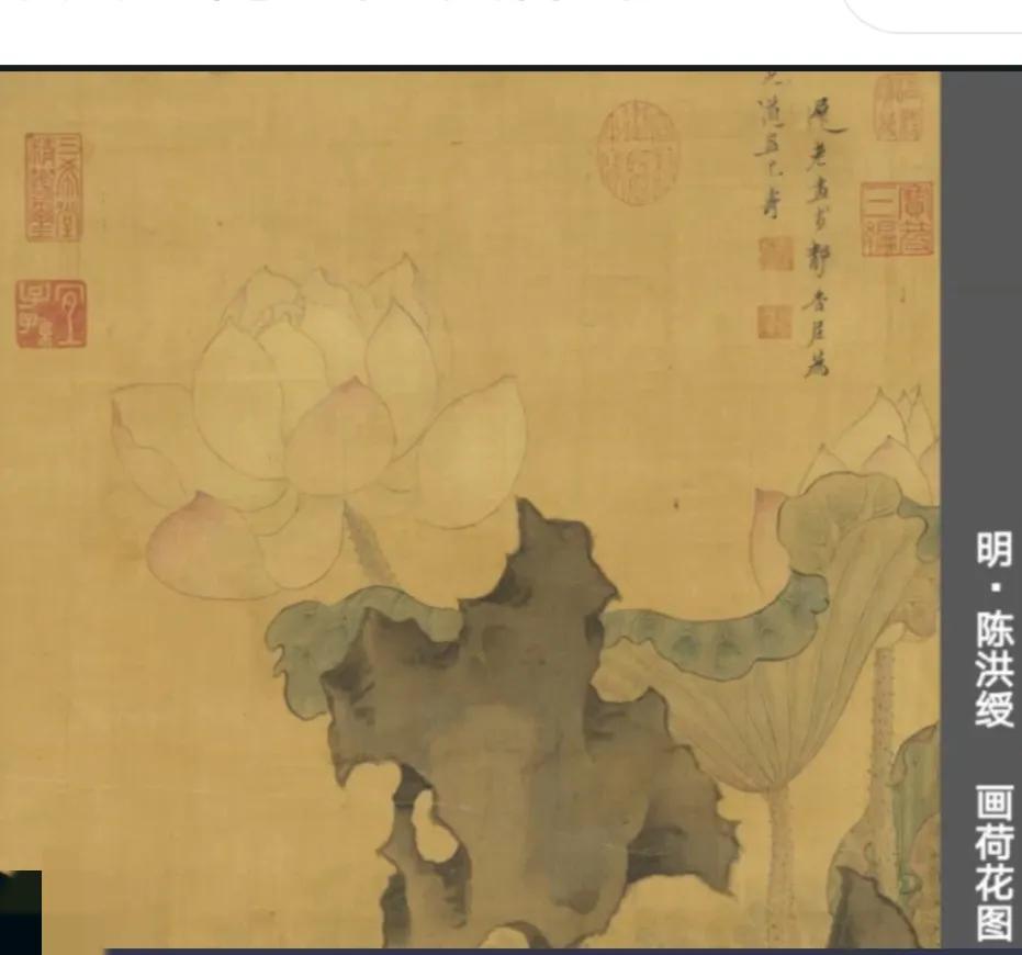 第五十九节绘画课【花卉提高】出水关蓉(上)