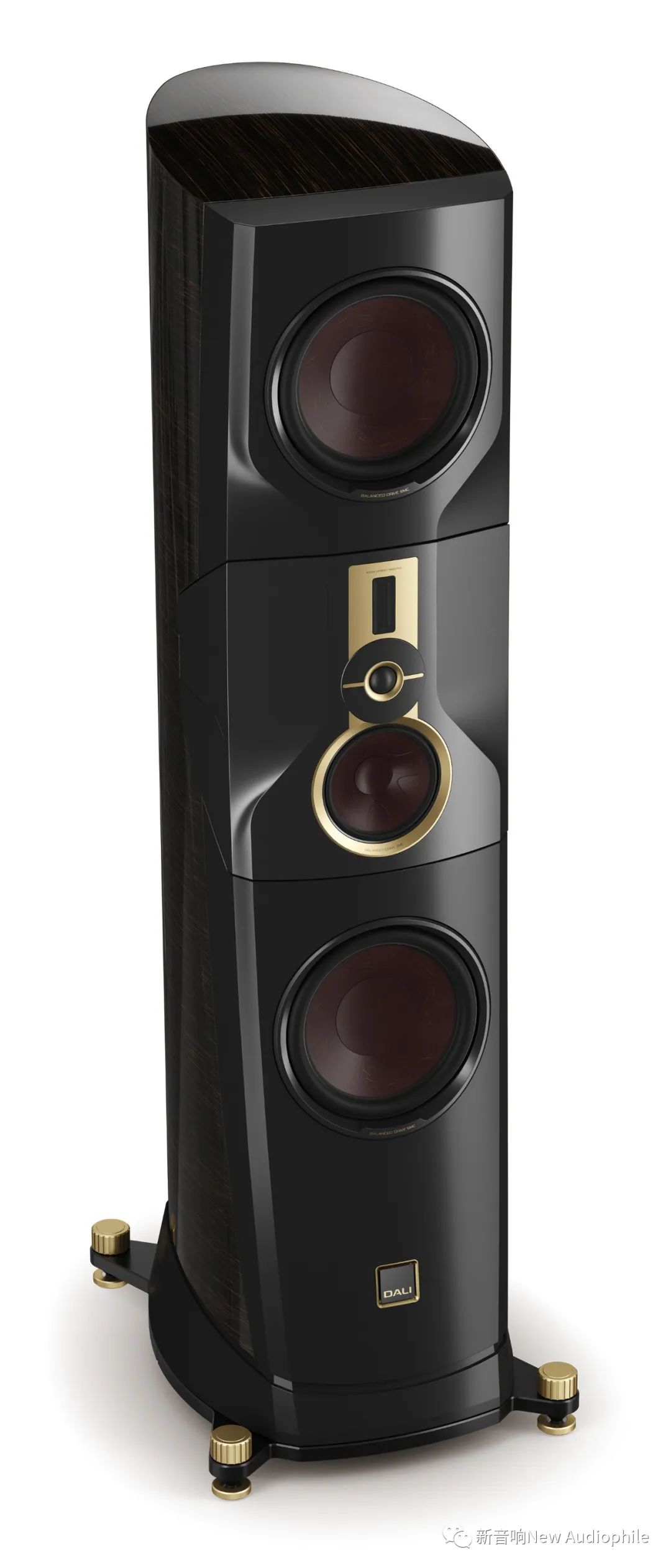 达尼旗舰音箱君临,达尼君临天下价格