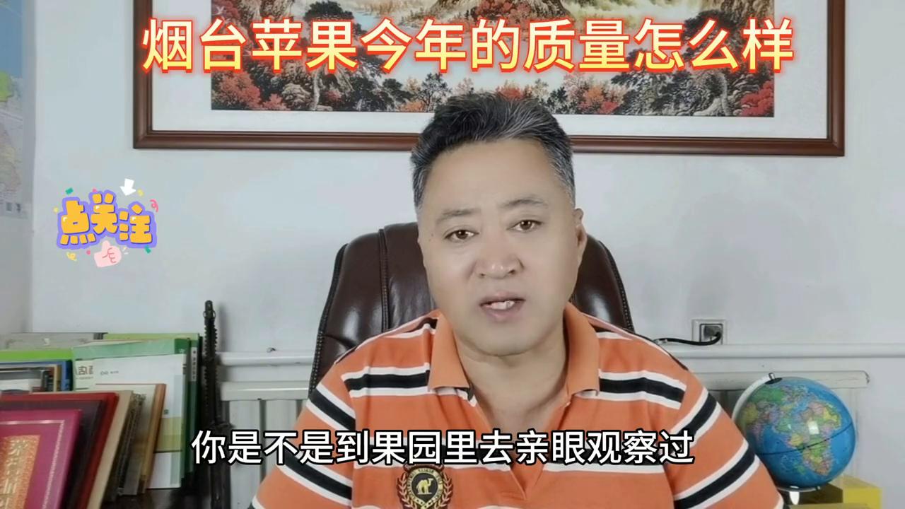 洛川苹果和烟台苹果哪个好,阿克苏苹果和烟台苹果哪个好