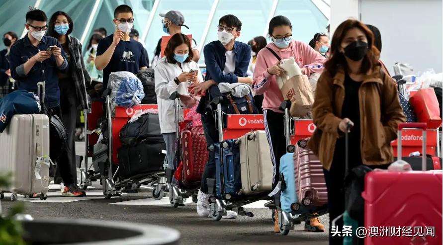 千万别移民澳洲，我后悔死了！