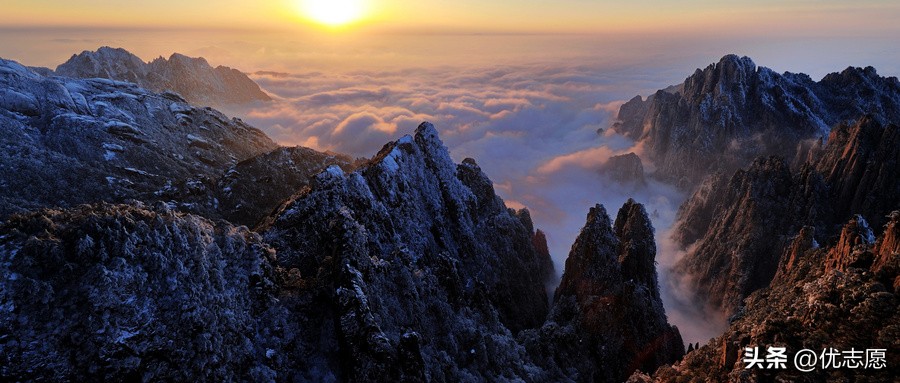 填报什么专业学校就业前景好,就业前景好的院校专业排名