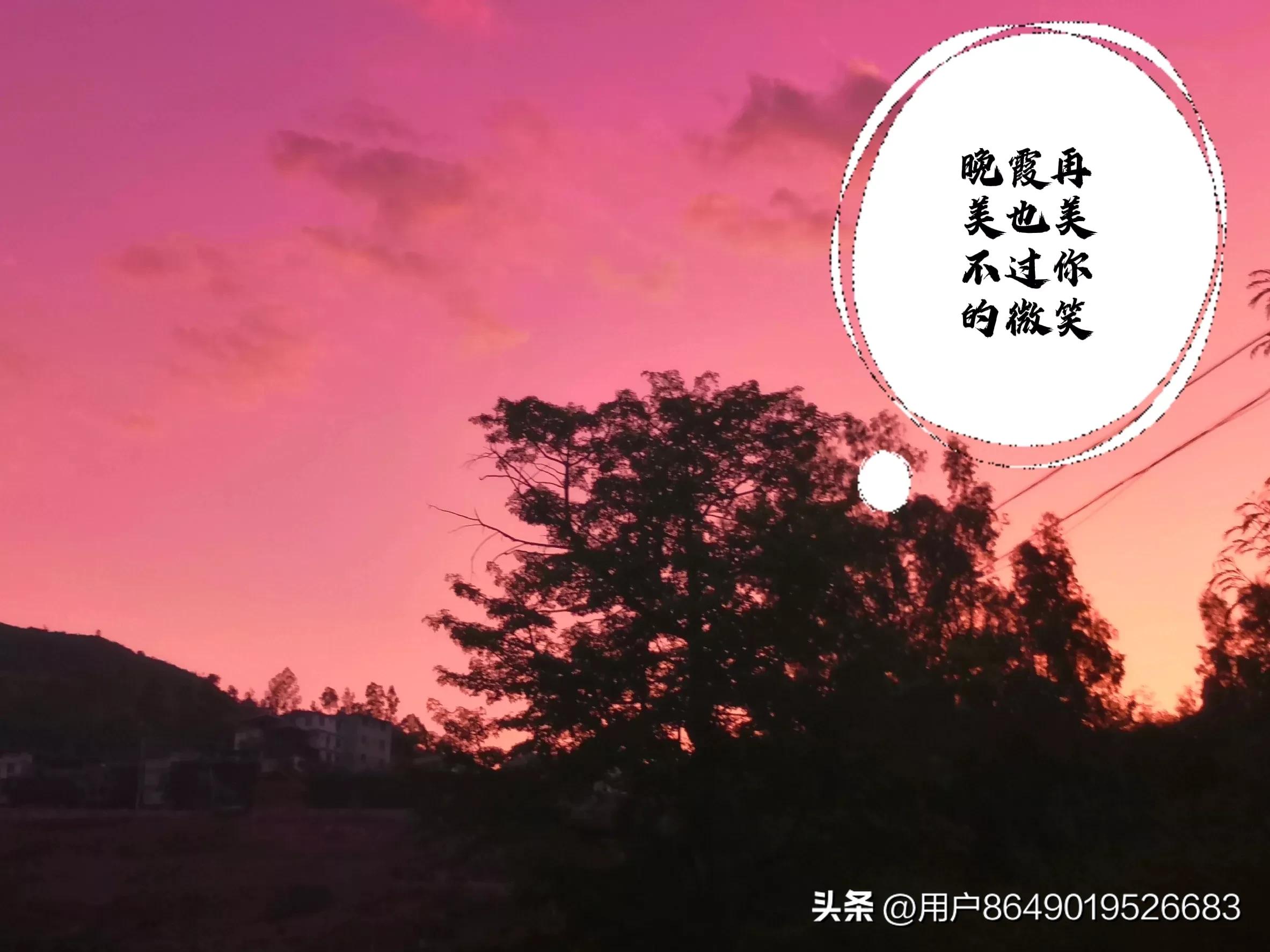 朋友的酒,朋友圈