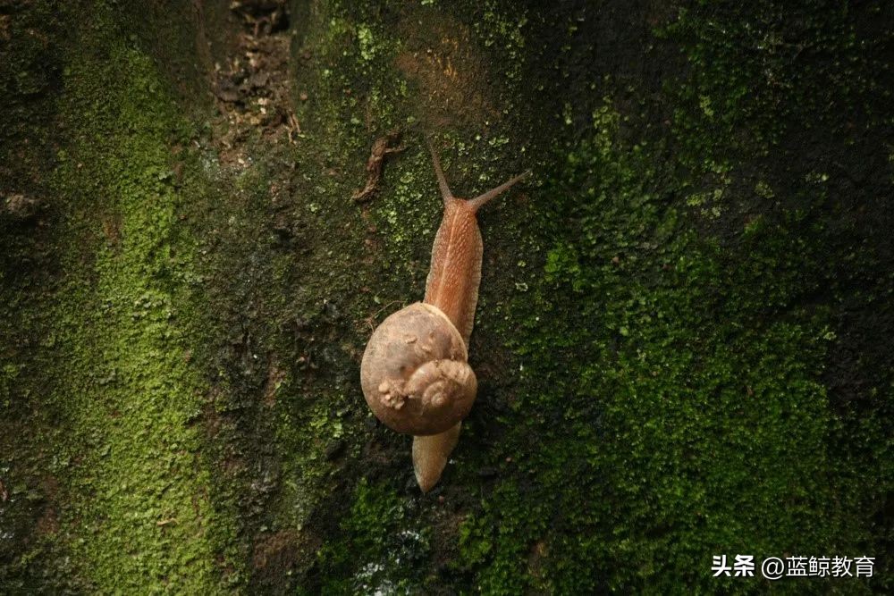 打响职教“翻身仗”，科德教育“欲速则不达”