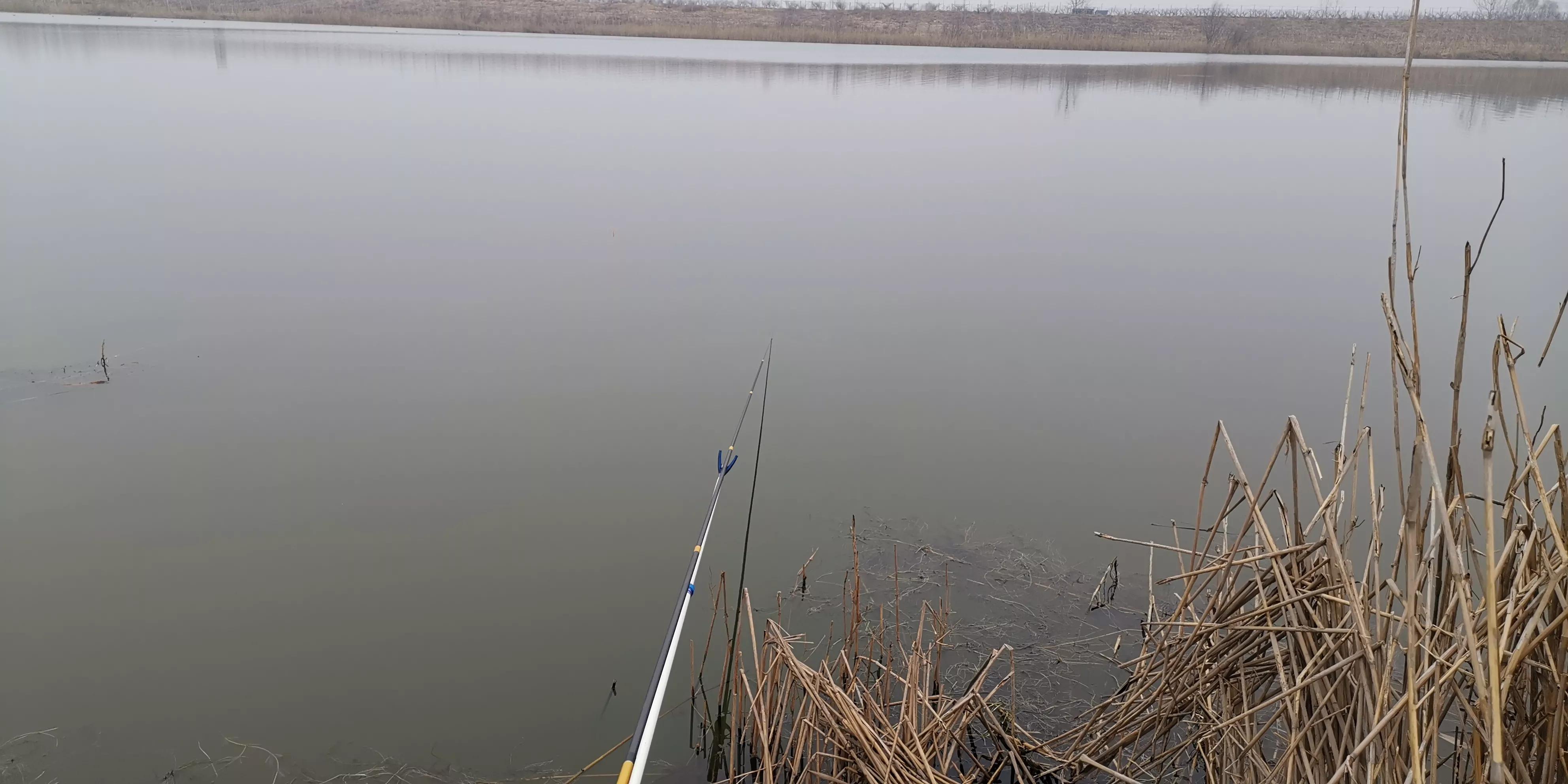 野钓怎么抛竿调漂比较准,钓鱼选钓位天气