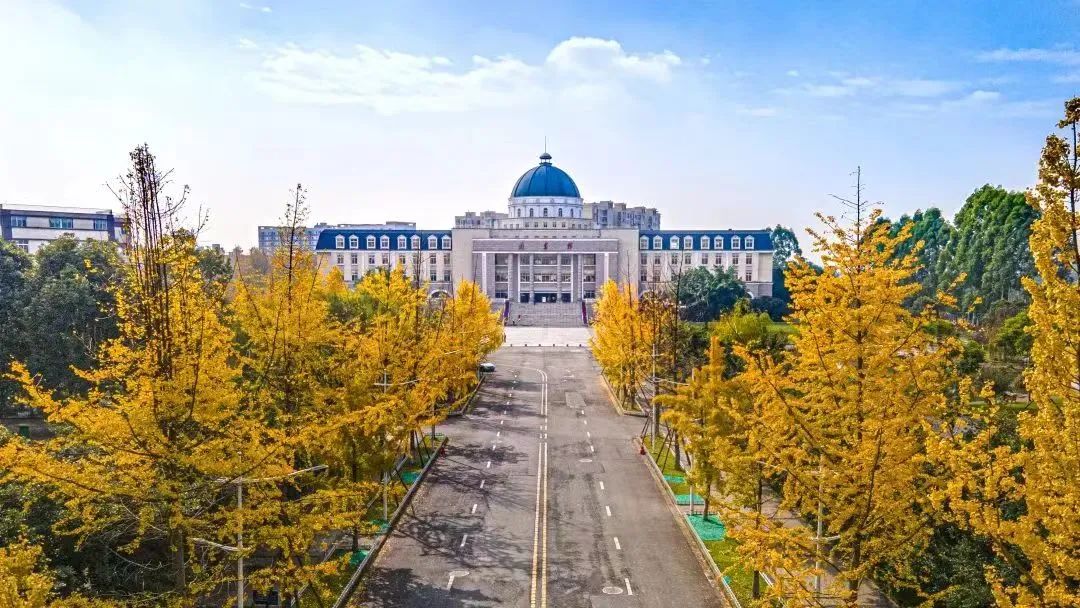 在成都读大学好就业吗,在成都读研究生是什么体验