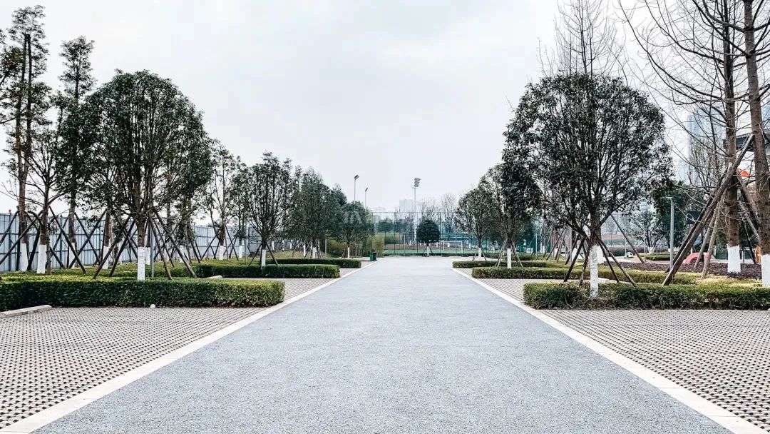 成都成华城东体育公园,成都成华体育公园