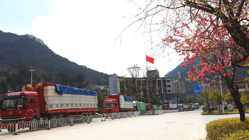 云南腾冲:边贸往来又逢春