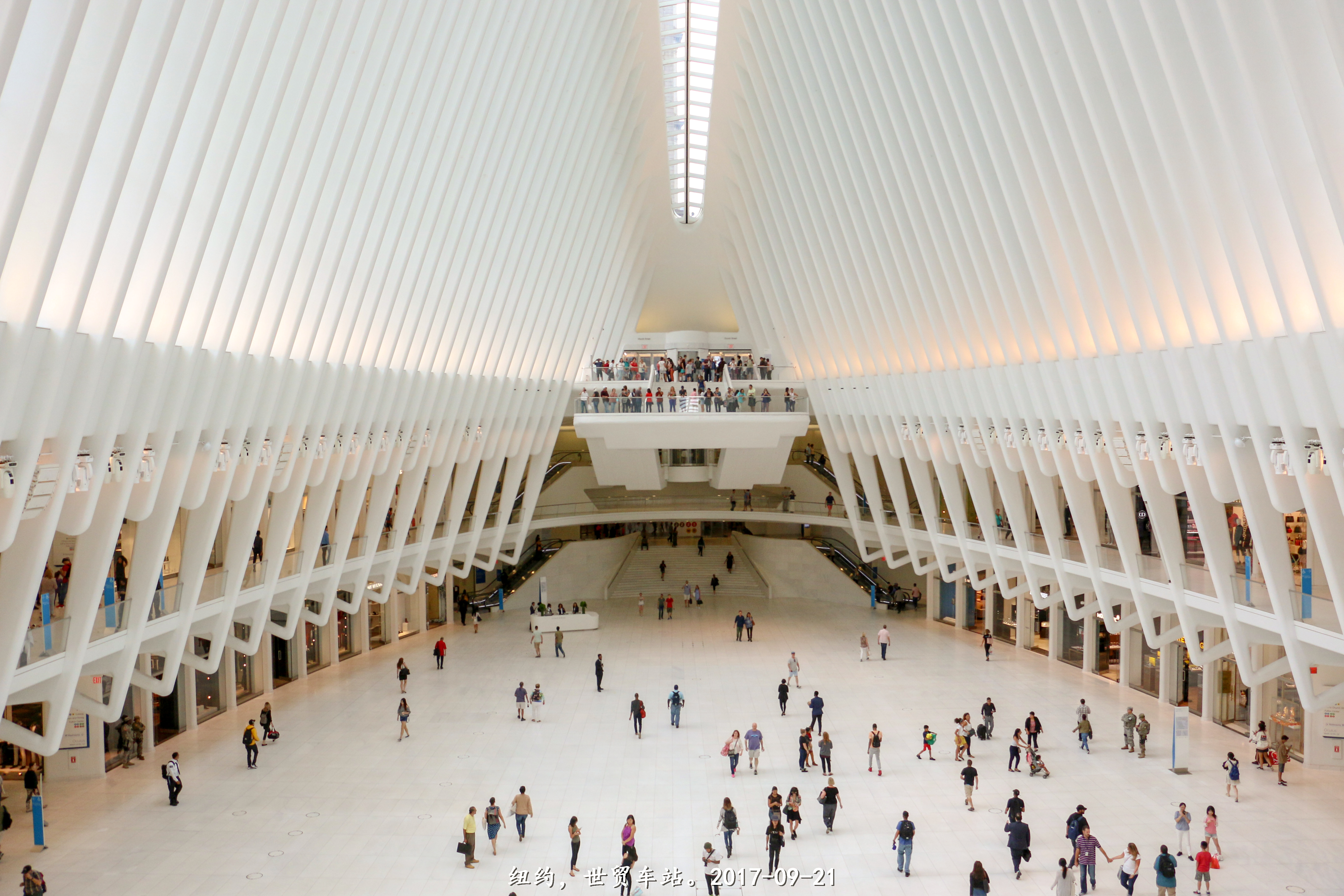 美东加东行（一）——纽约