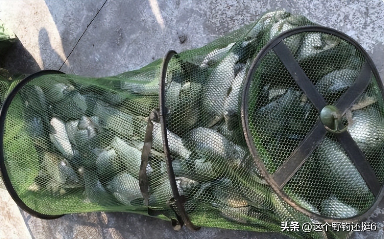 明明有鱼就是不开口怎么解决,有鱼不开口怎么办