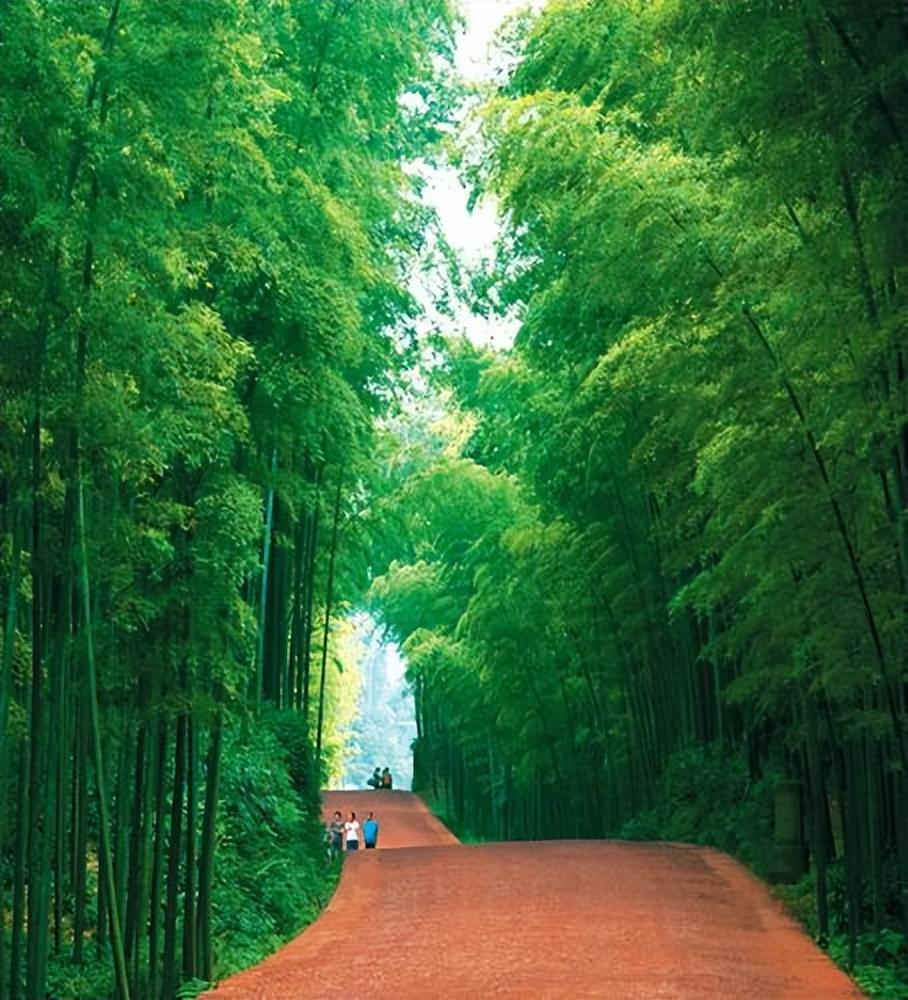 卧虎藏龙竹林拍摄地在蜀南竹海吗,卧虎藏龙取景地蜀南竹海吊威亚