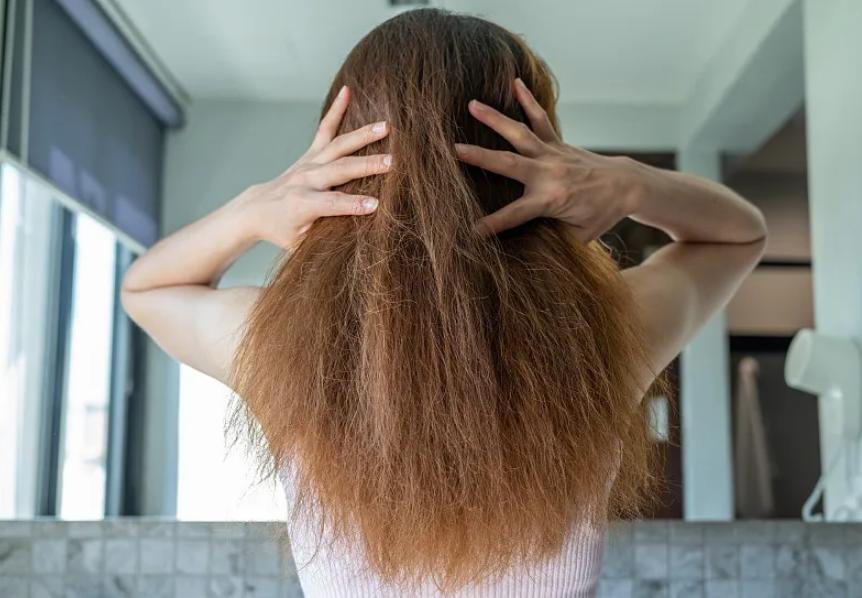 为什么头发越长越分叉,为什么头发一长就容易分叉