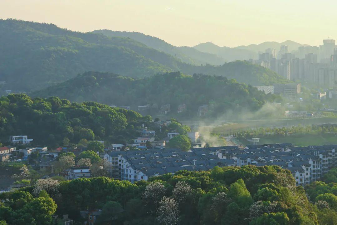 中南大学的机械类专业怎么样,中南大学能源动力类专业排名