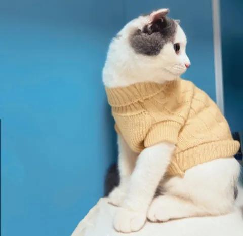 商品房楼上噪音太吵是普遍现象吗,住楼房嫌吵怎么办